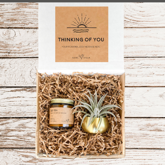 Gift Box | Gold Votive + Air Plant + Soy Candle | Choose Your Occasion