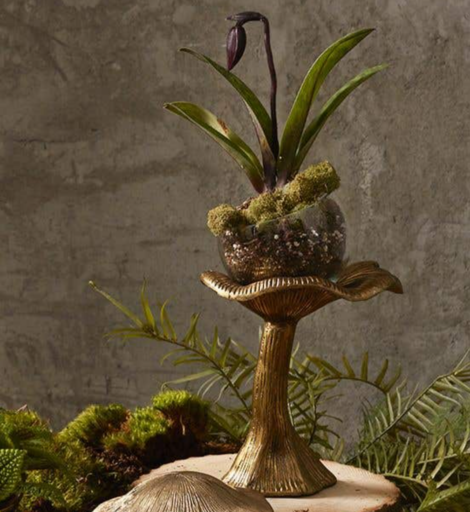 Lichen Mushroom Terrarium