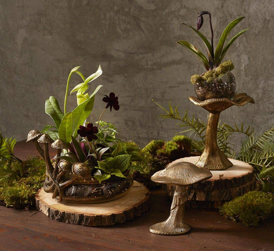 Lichen Mushroom Terrarium