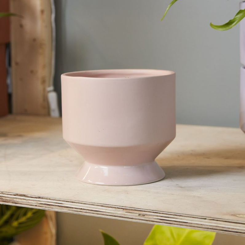 Pasadena Pot