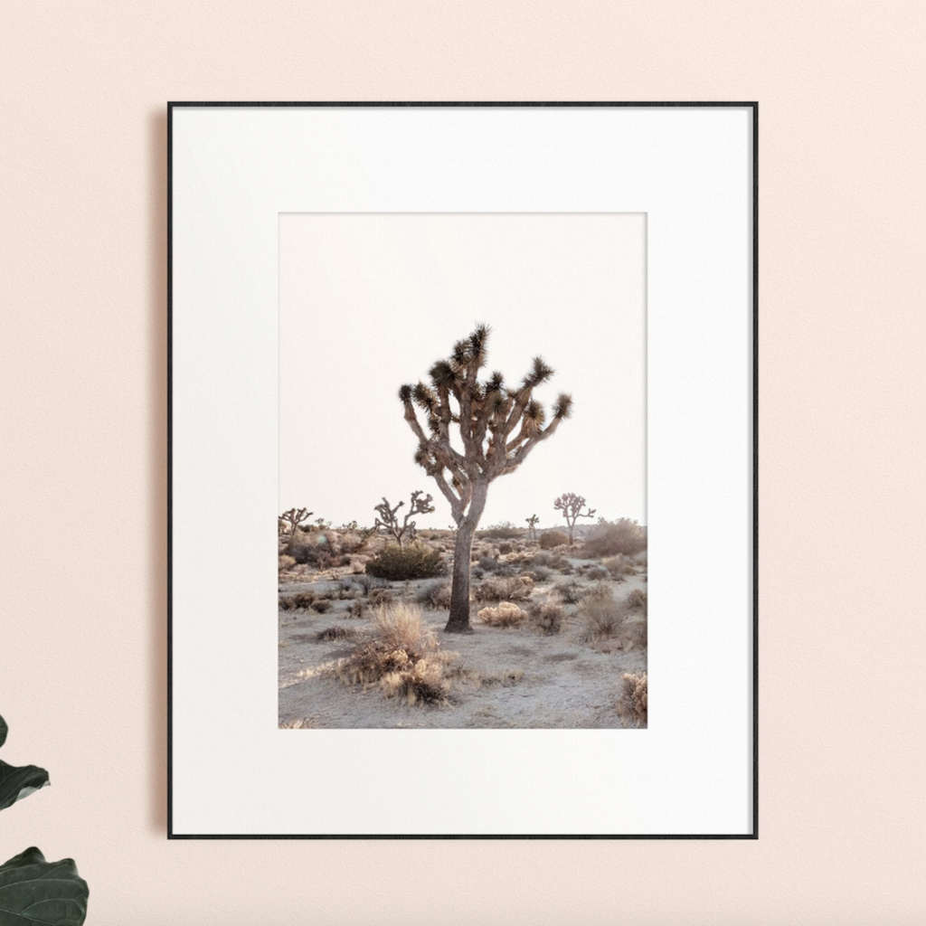 Desert Joshua Tree  Art Print 12” x 18”