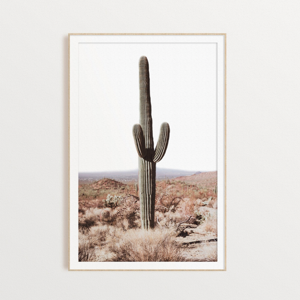Desert Cactus Art Print 12” x 18”