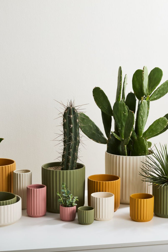 Beam Plant Pot | Off White
