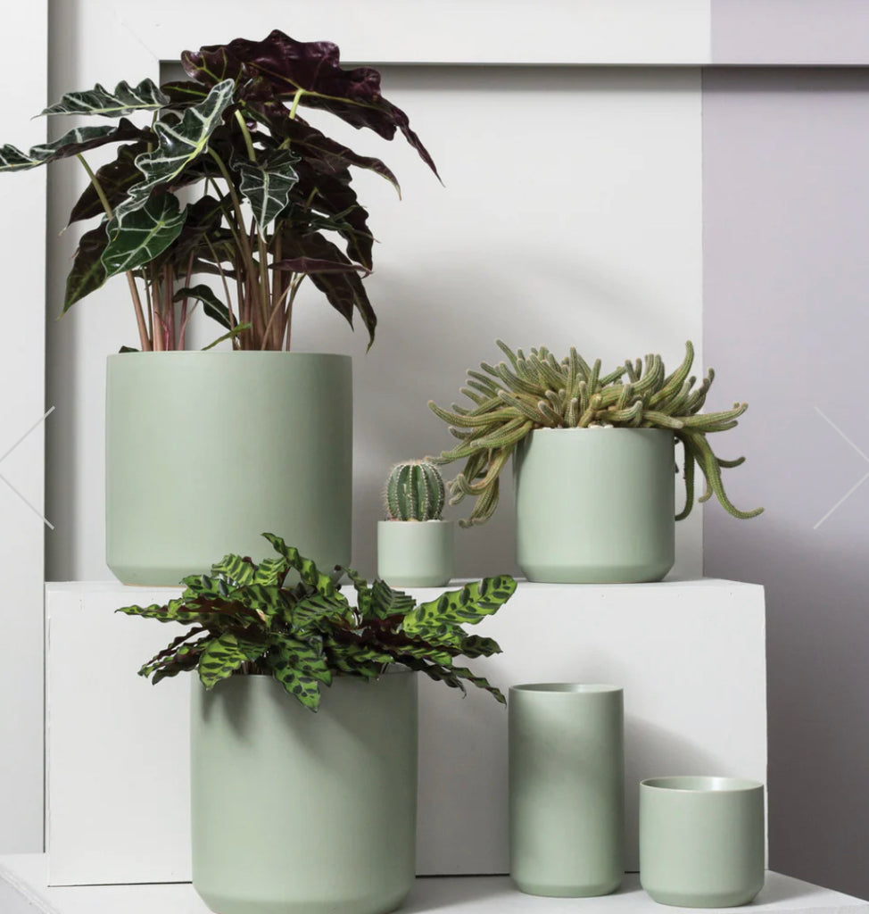 Kendall Collection | Seafoam