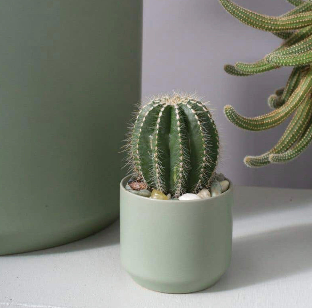 Kendall Collection | Seafoam