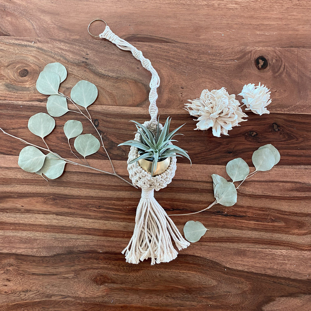 Bella Gift Box | Macrame Hanger + Air Plant + Gold Pot | Choose your Occasion