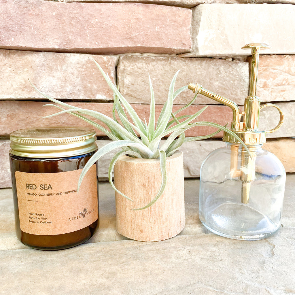 Happy Hanukkah Gift Box | Gold Mister + Air Plant + Driftwood Pot + Candle