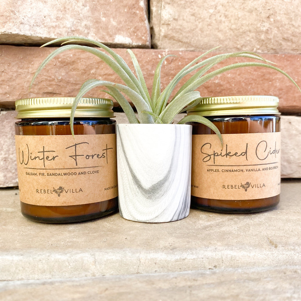 Happy Holidays Gift Box | Marble Pot with Air Plant + 2 Soy Candles