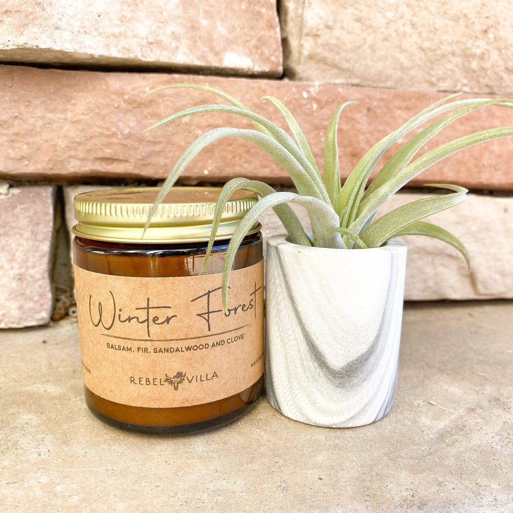 Happy Holidays Gift Box | Marble Pot with Air Plant + 1 Soy Candle