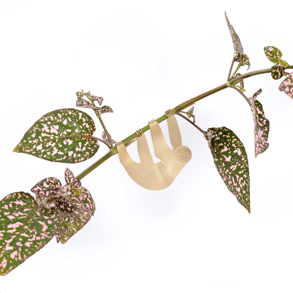 Plant Animal - Sloth houseplant decoration