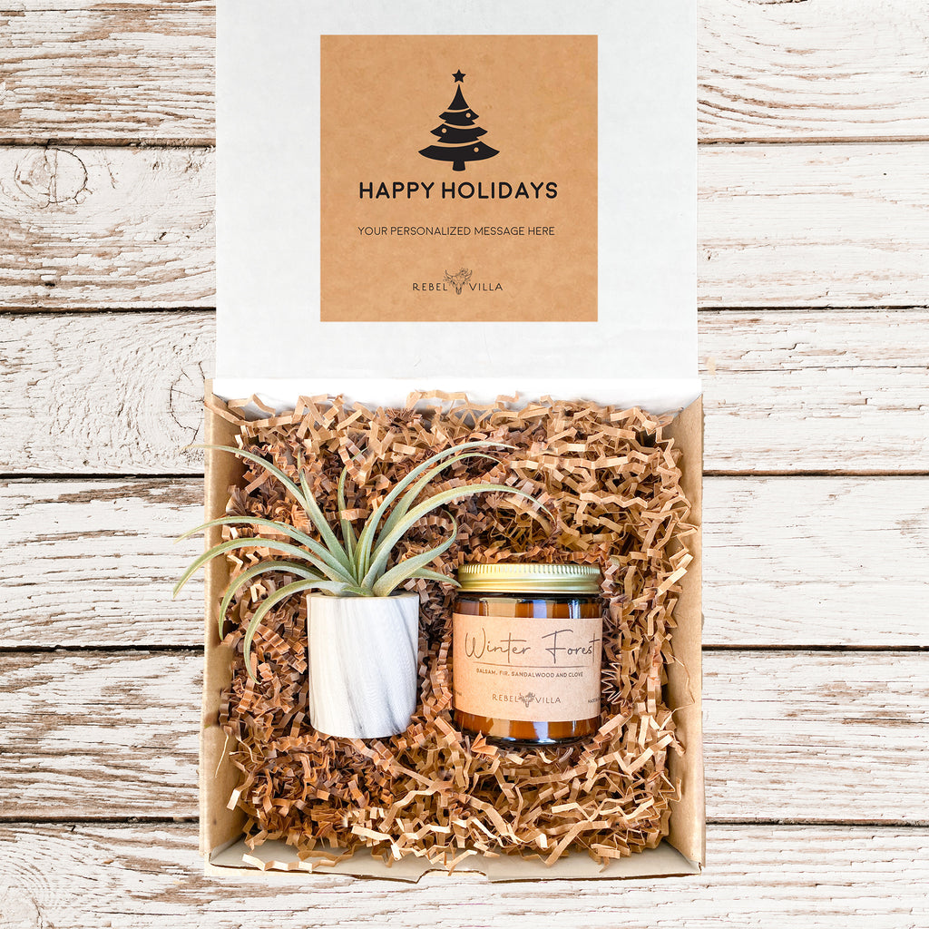 Happy Holidays Gift Box | Marble Pot with Air Plant + 1 Soy Candle