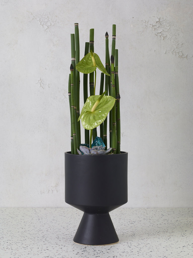 De Vil Plant Pot