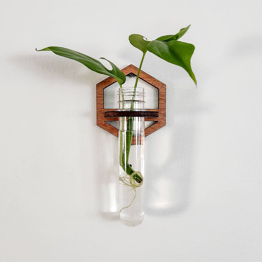 Wall Hanging Propagation Station - Wooden Hexagon Outline