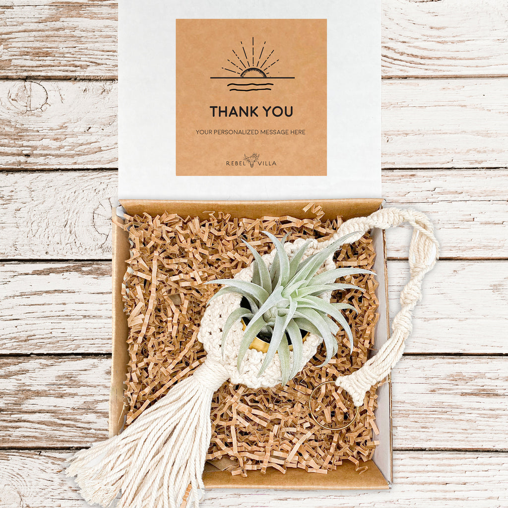 Bella Gift Box | Macrame Hanger + Air Plant + Gold Pot | Choose your Occasion