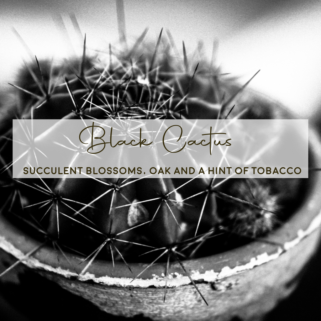 Footy Gift Box | Air Plant + 2 Soy Candles | Choose Your Occasion