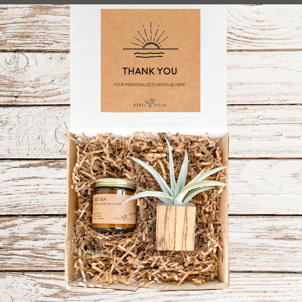 Natural Wood Pot Gift Box | Wood Planter + Air Plant + Soy Candle | Choose Your Occasion