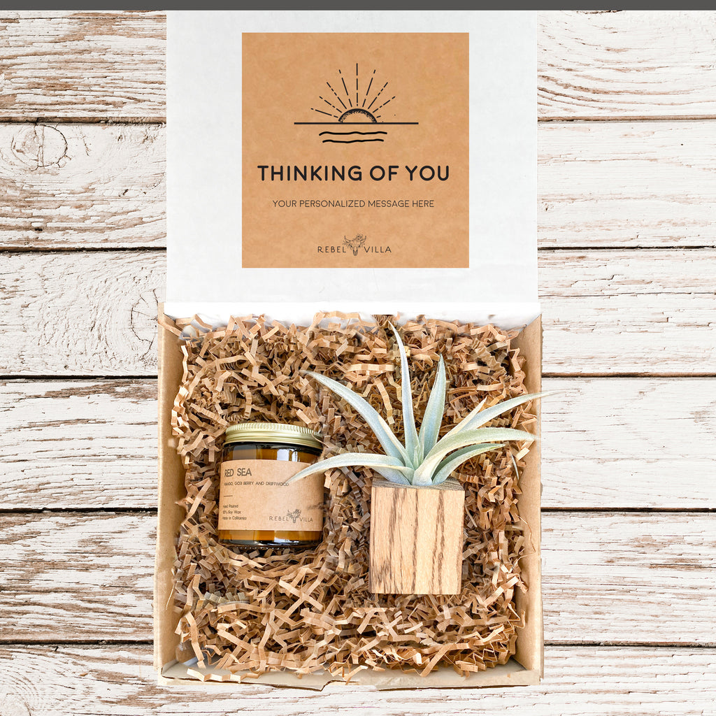 Natural Wood Pot Gift Box | Wood Planter + Air Plant + Soy Candle | Choose Your Occasion