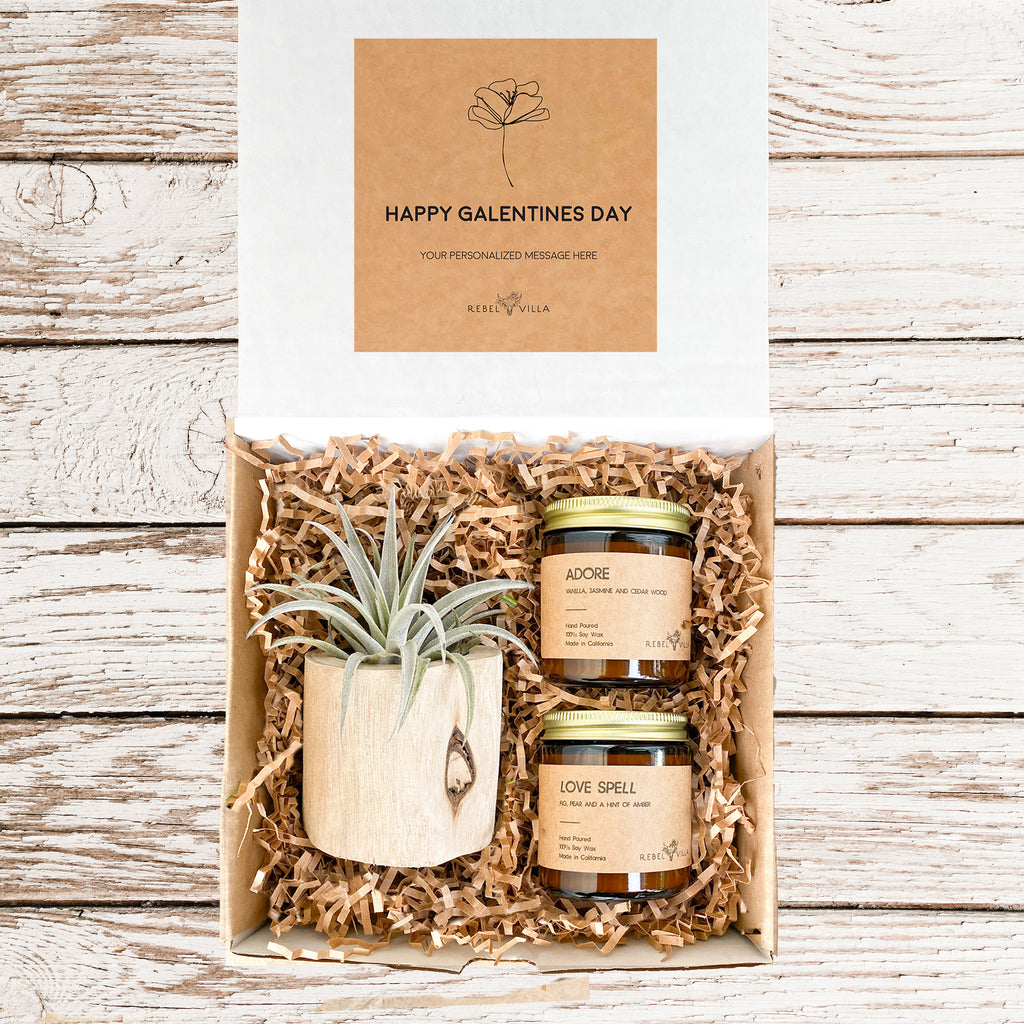 Valentine's Day Gift Box | Live Air Plant in a Driftwood Pot and Soy Candles