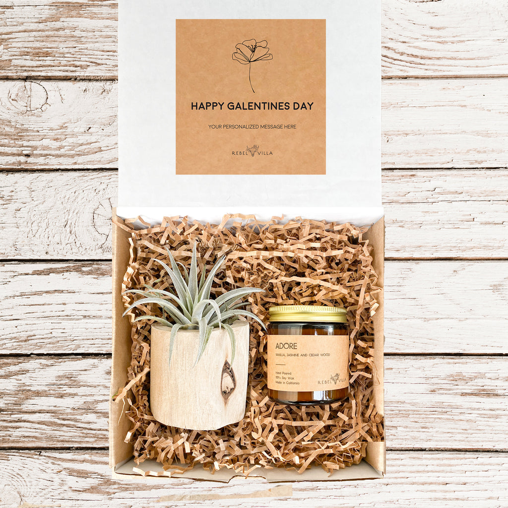 Valentine's Day Gift Box | Live Air Plant in a Driftwood Pot and Soy Candle