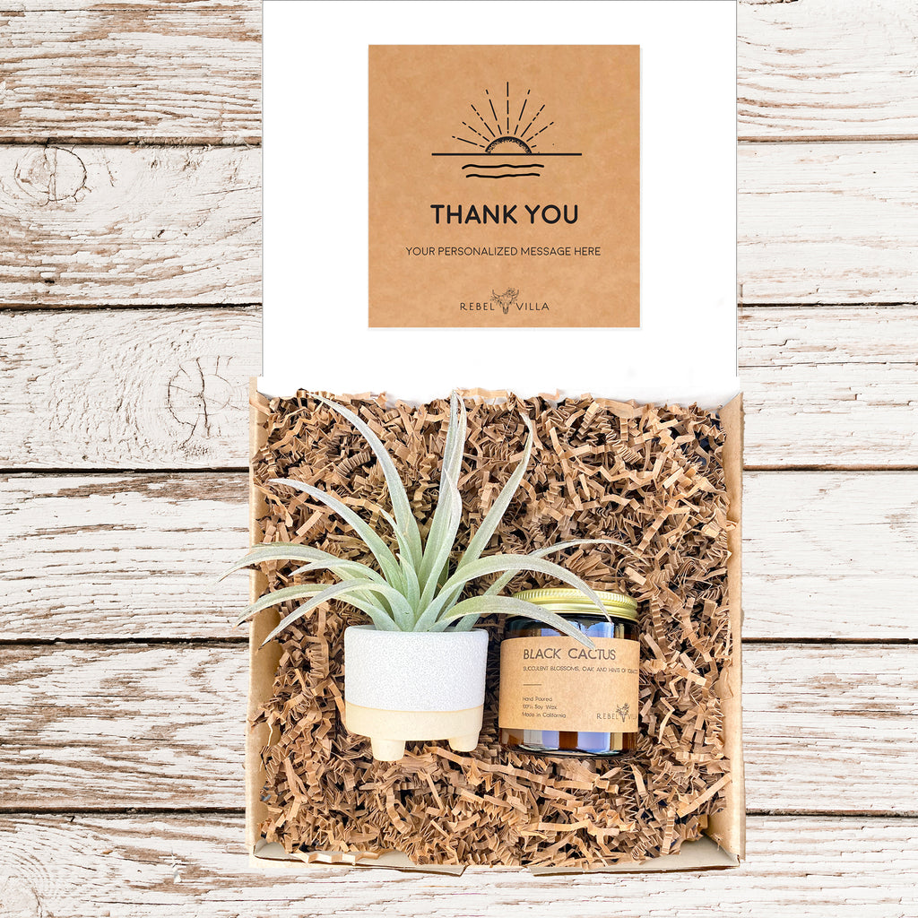 Footy Gift Box | Air Plant + Soy Candle | Choose Your Occasion