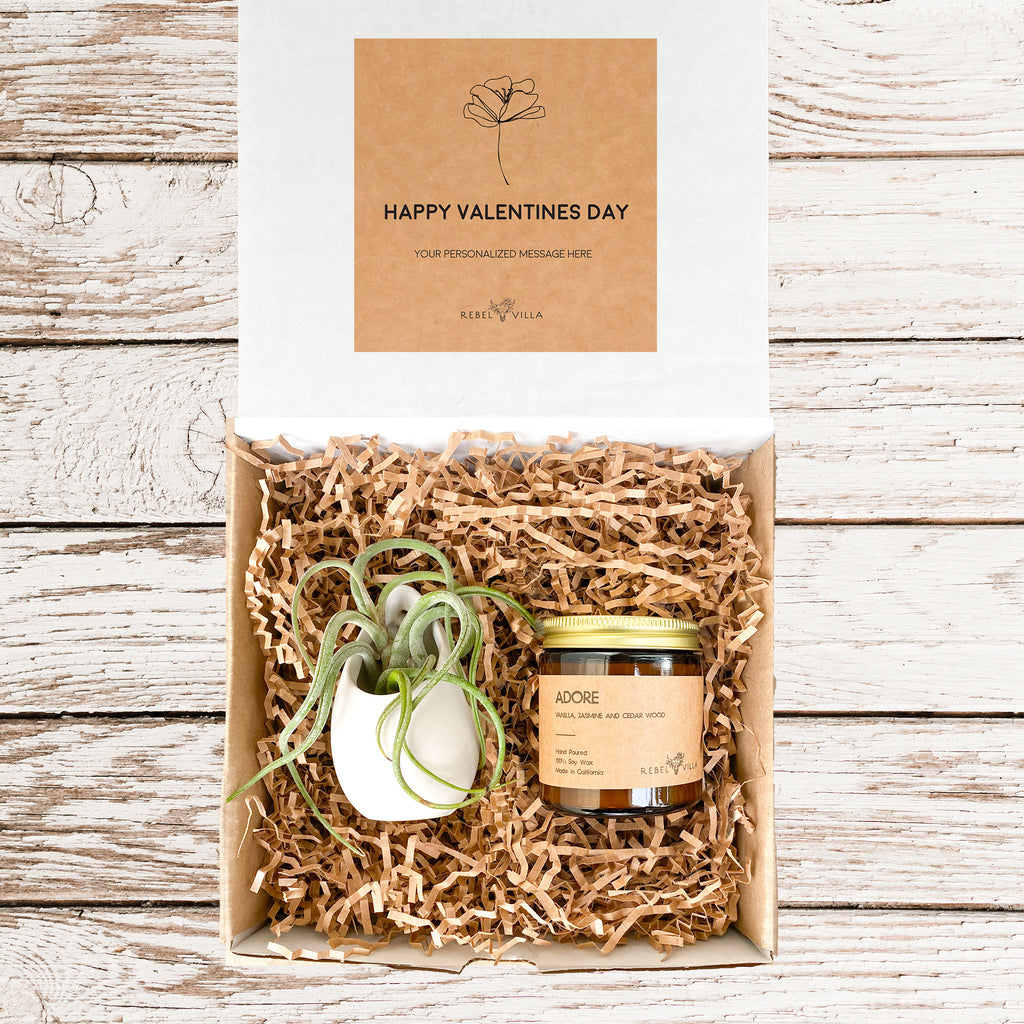 Valentine's Day Gift Box | Live Air Plant in White Pot and Soy Candle