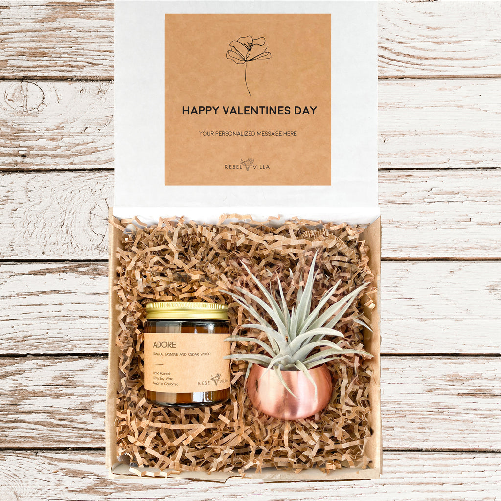 Valentine's Day Gift Box | Live Air Plant in Rose Gold Pot and Soy Candle