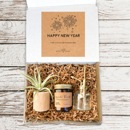 air plant gift box Happy New Year Gift Box | Gold Mister + Air Plant + Driftwood Pot + Ca