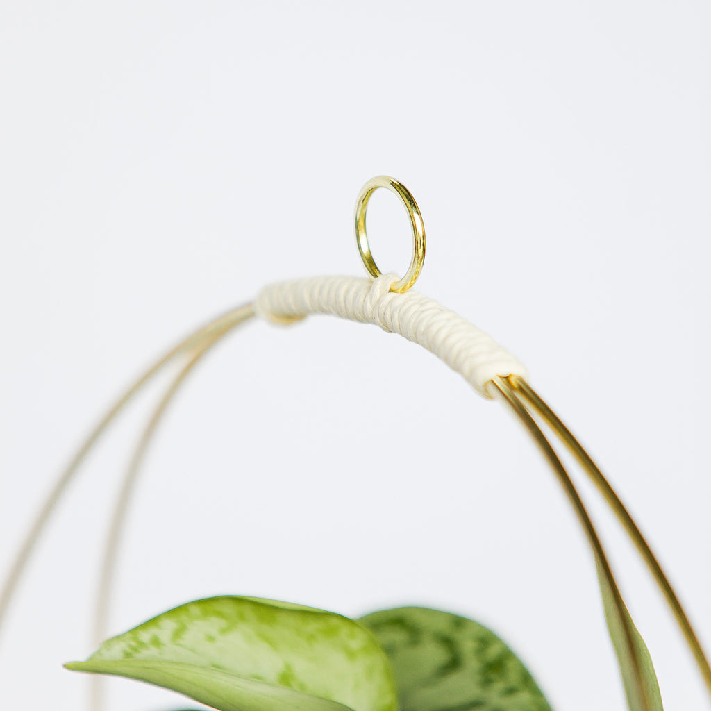 BRAID AND WOOD | Plant Hanger (Classic Shimmer)