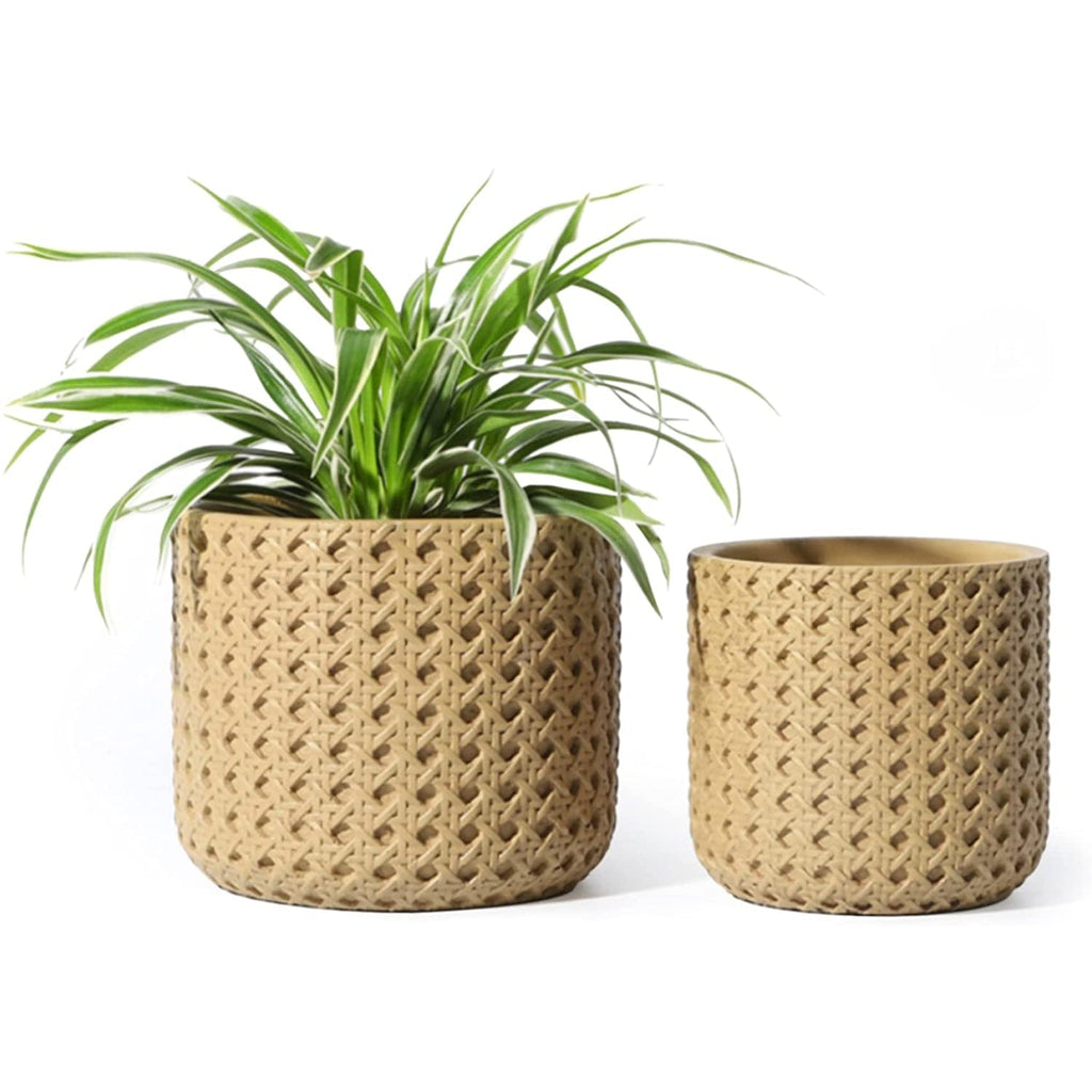 Woven Cane Ceramic Planter