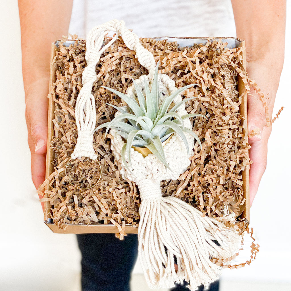 Bella Gift Box | Macrame Hanger + Air Plant + Gold Pot | Choose your Occasion