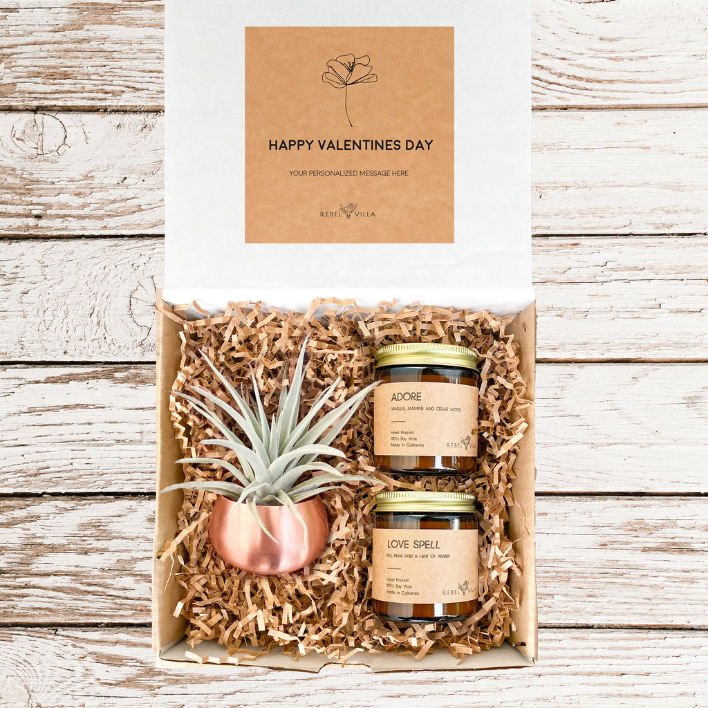 Valentine's Day Gift Box | Live Air Plant in Rose Gold Pot and Soy Candles