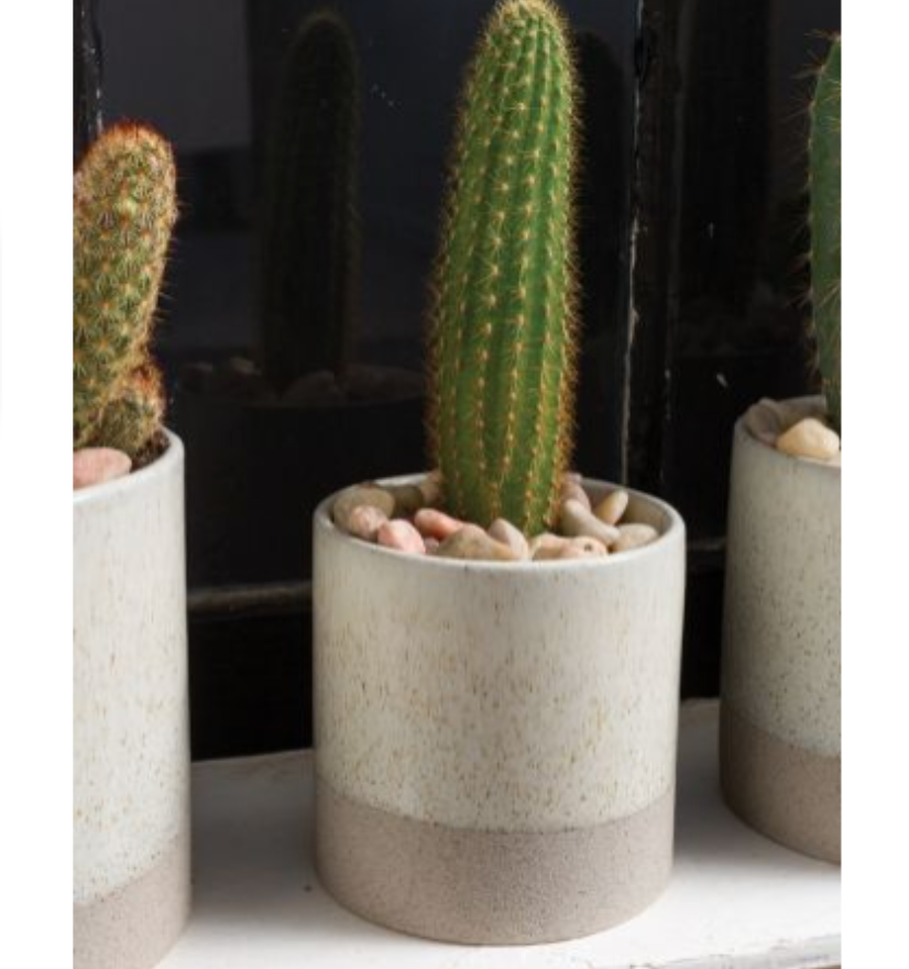 Downy Pot
