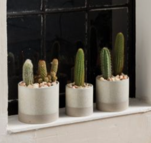 Downy Pot