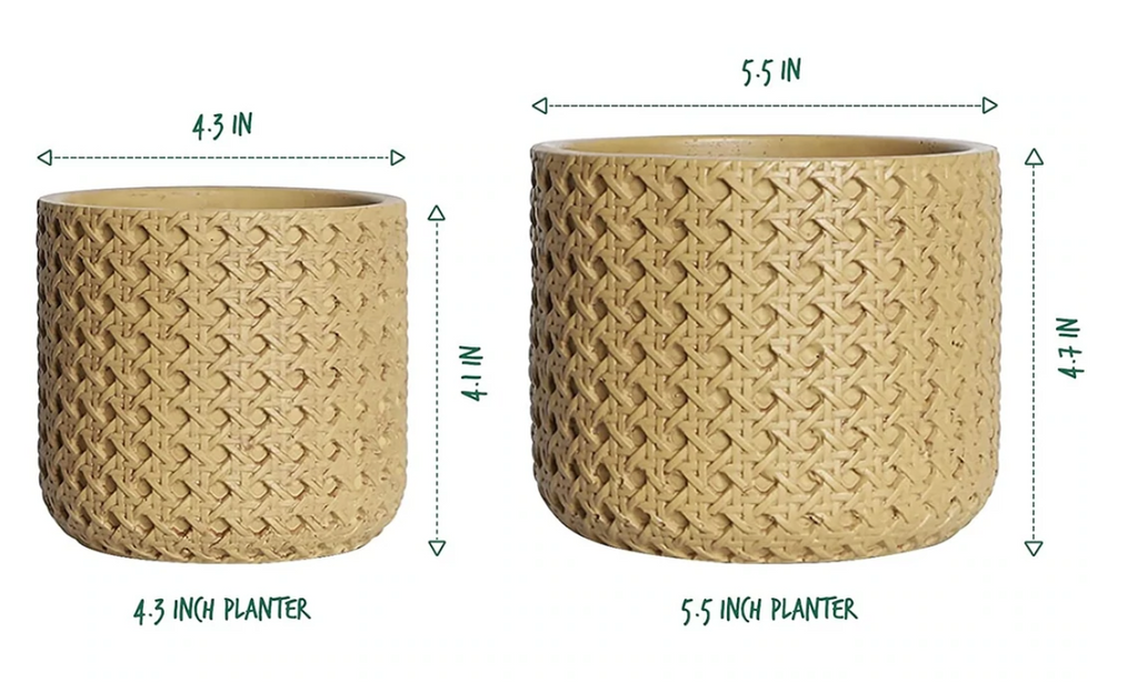 Woven Cane Ceramic Planter