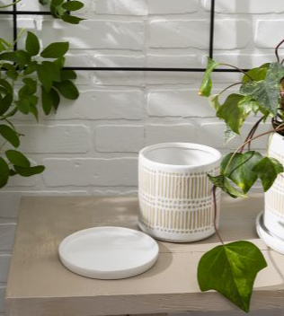 Linden Pot