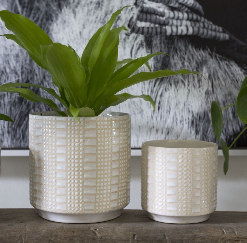 Zati Pot