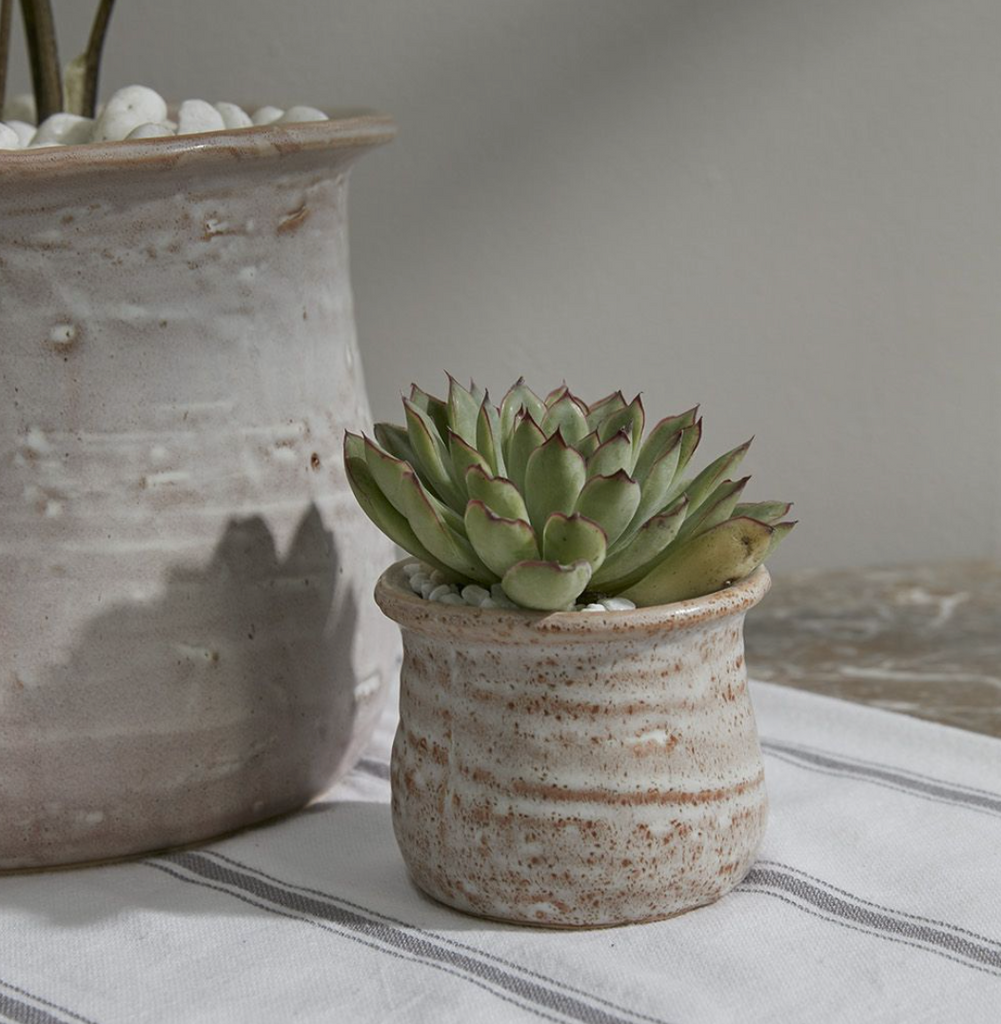 Gamma Plant Pot
