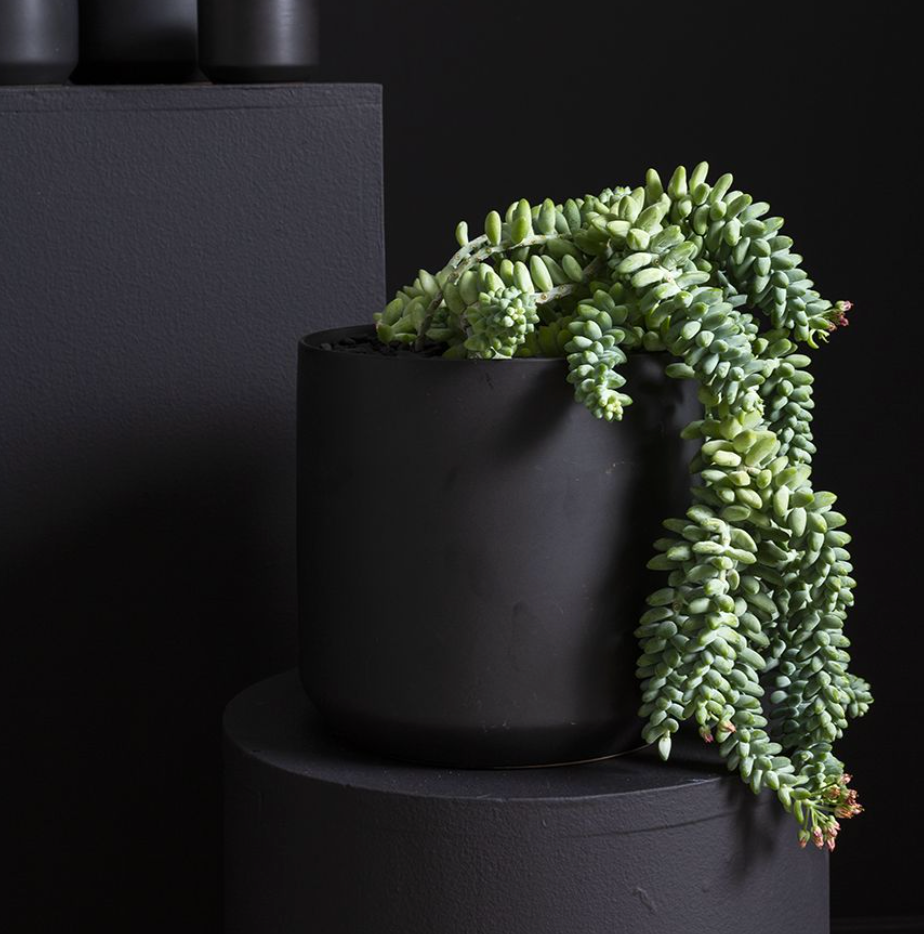 kendall plant pot Kendall Pot | Black