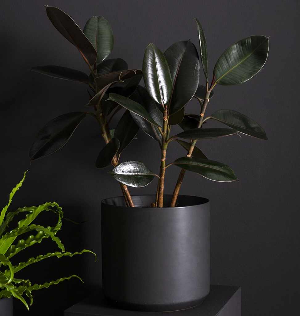 Kendall Pot | Black