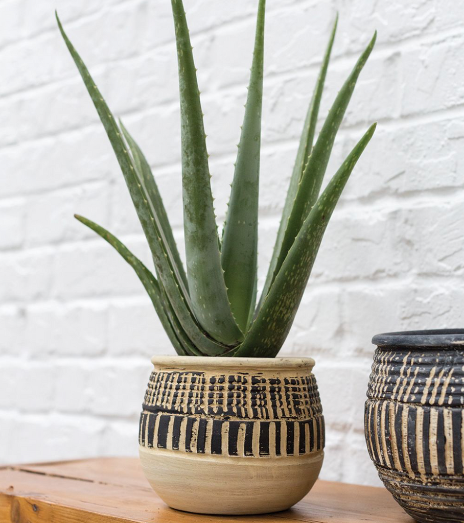 Oba Plant Pot