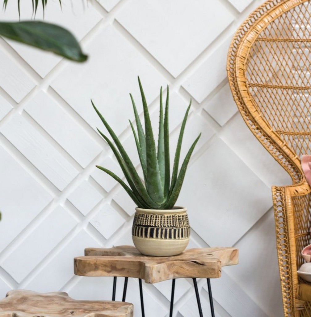 Oba Plant Pot