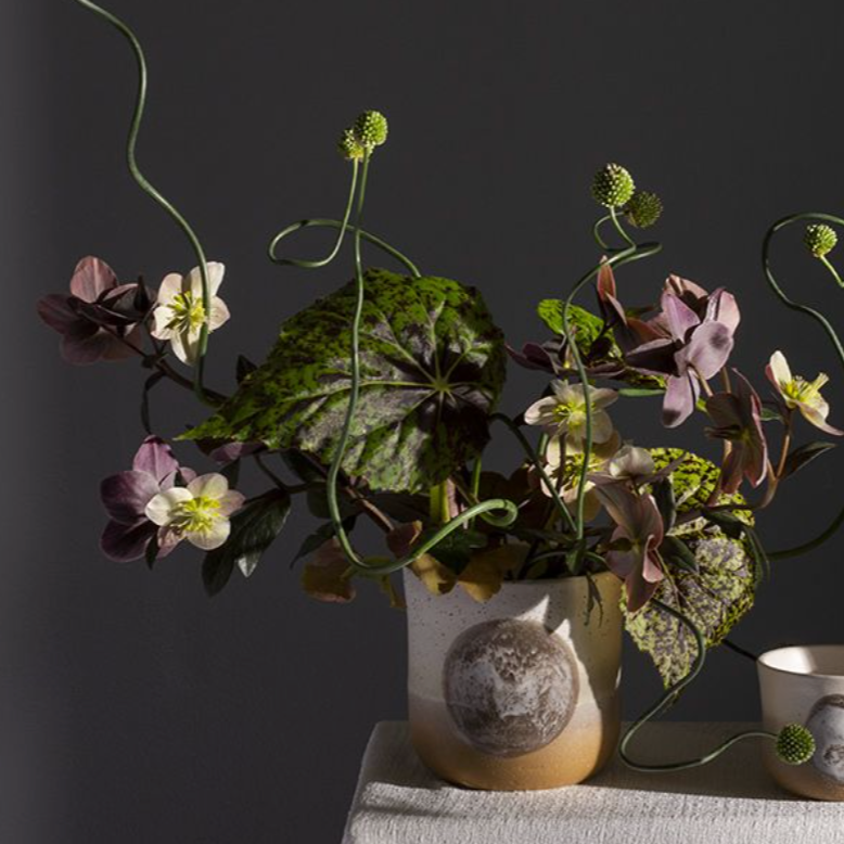 Hala Plant Pot