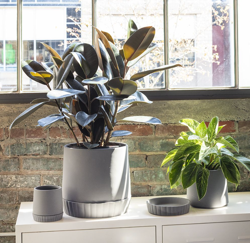 Kadin Plant Pot