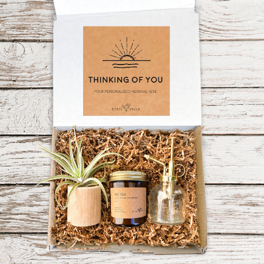 Plant Care Gift Box | Gold Mister +  Driftwood Pot With Air Plant + Candle | Choose Your Occasion