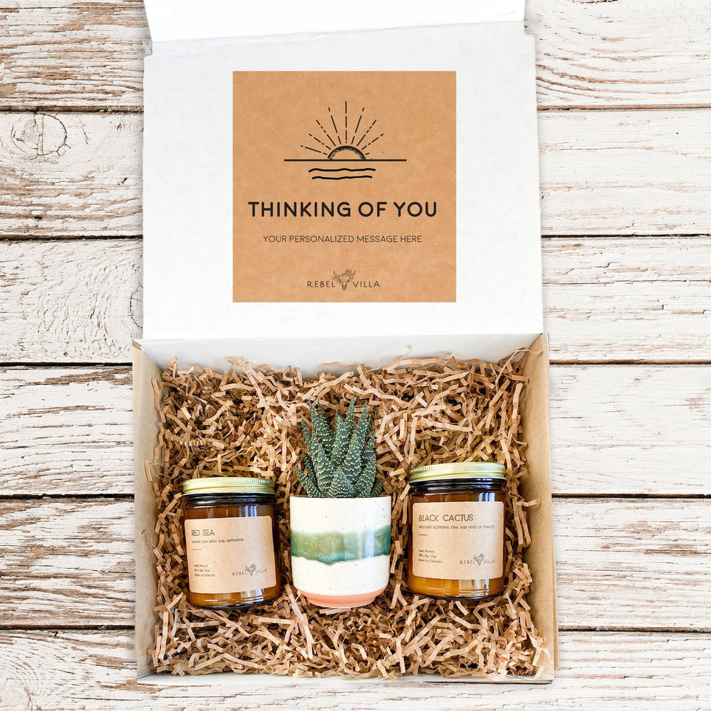 Succulent Gift Box | Live Plant + Large Soy Candles | Choose Your Occasion