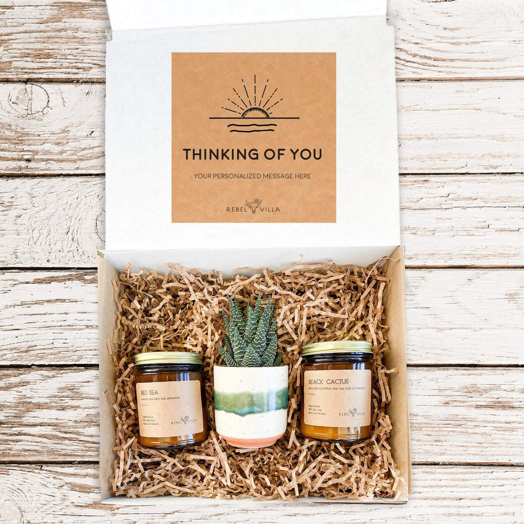 Gift Box | Succulent + Large Soy Candles | Choose Your Occasion