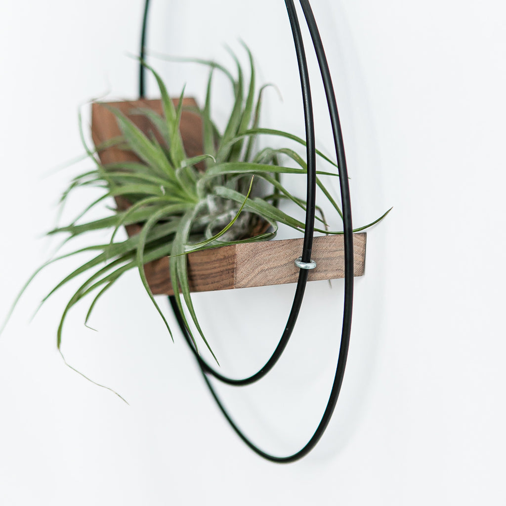 BRAID AND WOOD | Black V- Hanger (Small)