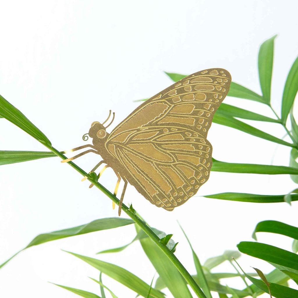 Plant Animal - Butterfly, house plant decoration