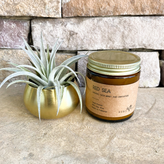 Gift Box | Gold Votive + Air Plant + Soy Candle | Choose Your Occasion