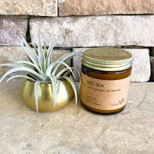Mother’s Day Gift Box | Gold Votive + Air Plant + Soy Candle